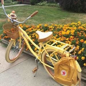 Meet your Posher, Chavez